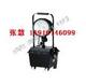 生产防爆巡检强光工作灯FW6100GF-J,FW6100GF防爆强光泛光灯FL6101