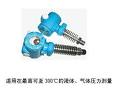 WAY-7高温型压力变送器 WAY-7