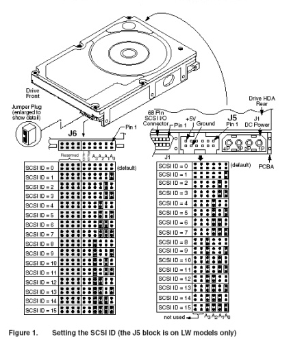 插座 SCSI