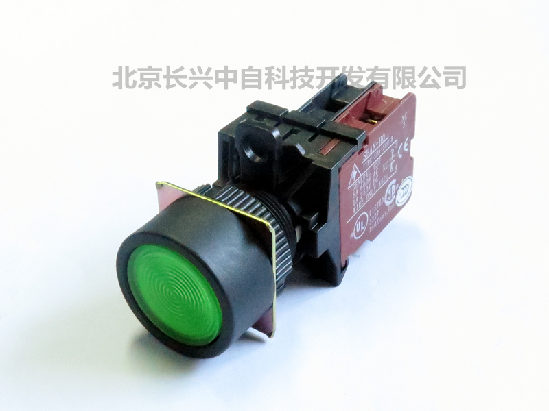 台湾山河 照光按钮开关  自复归 平头式  5色可选 可配灯座 SHBI-221