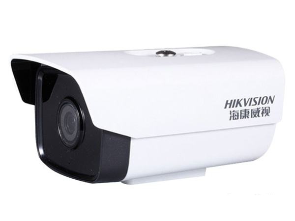 红外阵列筒型网路摄像机 DS-2CD1201D-13